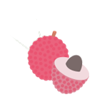 shape